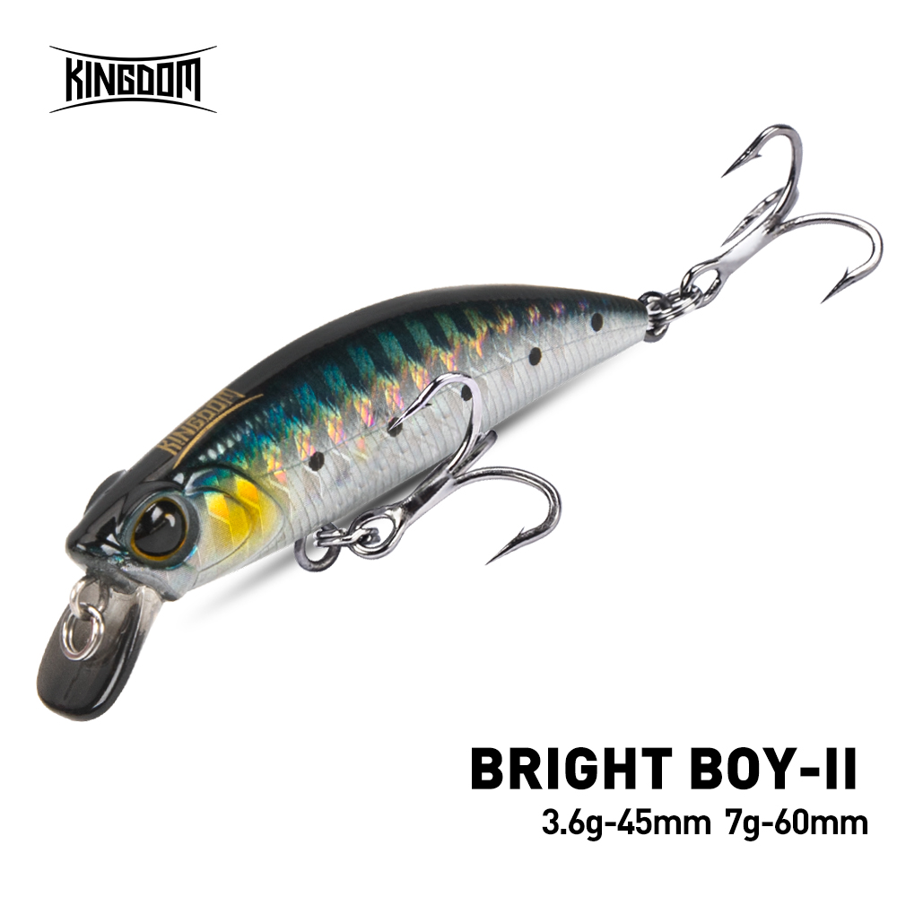 Kingdom Sinking Minnow Fishing - Fishing Equipment Daiwa recensione e prezzo