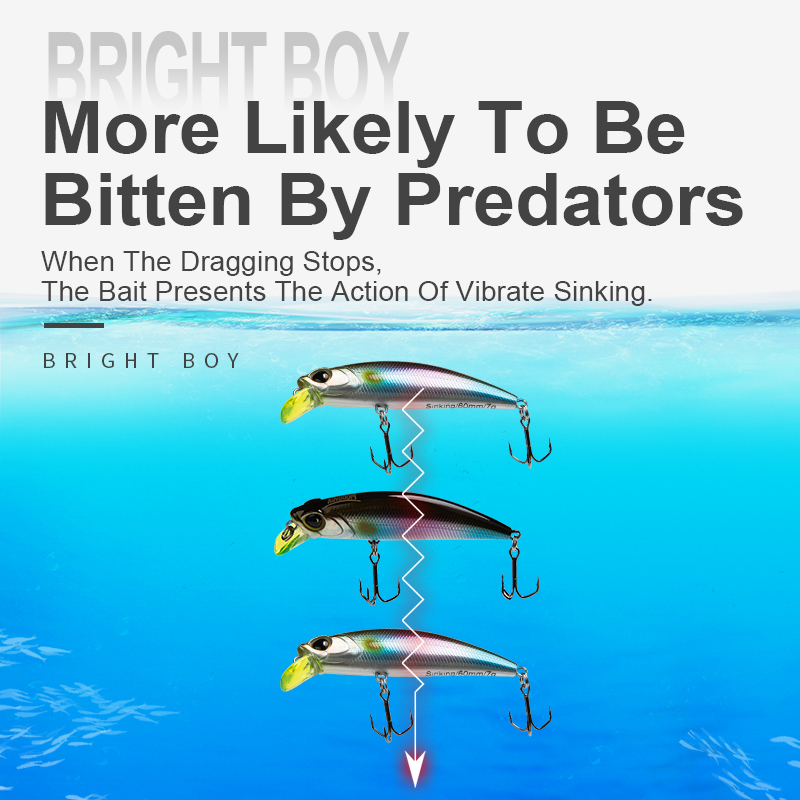Kingdom Sinking Minnow Fishing - Fishing Equipment Daiwa recensione e prezzo