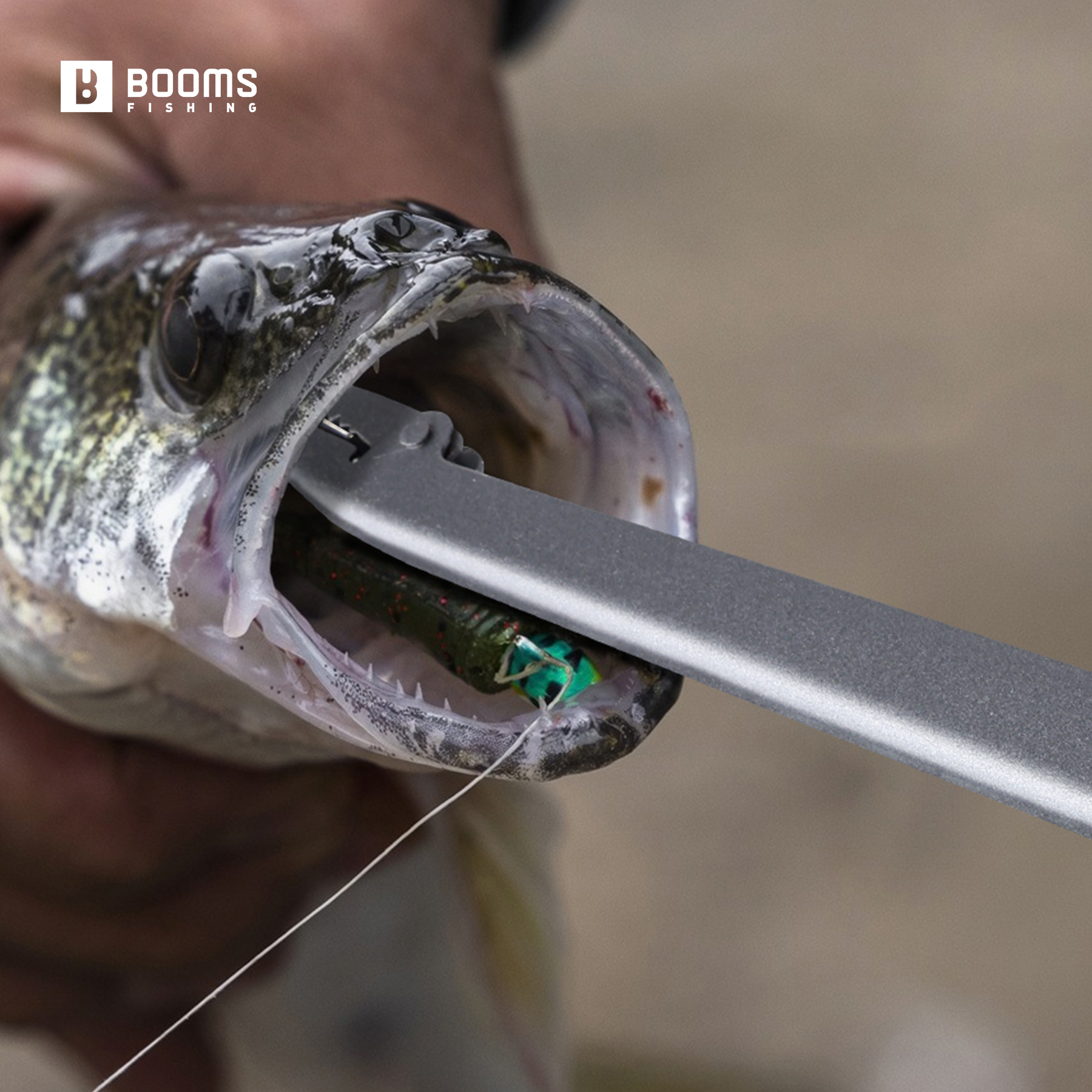 Booms Fishing 25cm Carbon Stee - Saltwater Fishing Hook recensione e prezzo