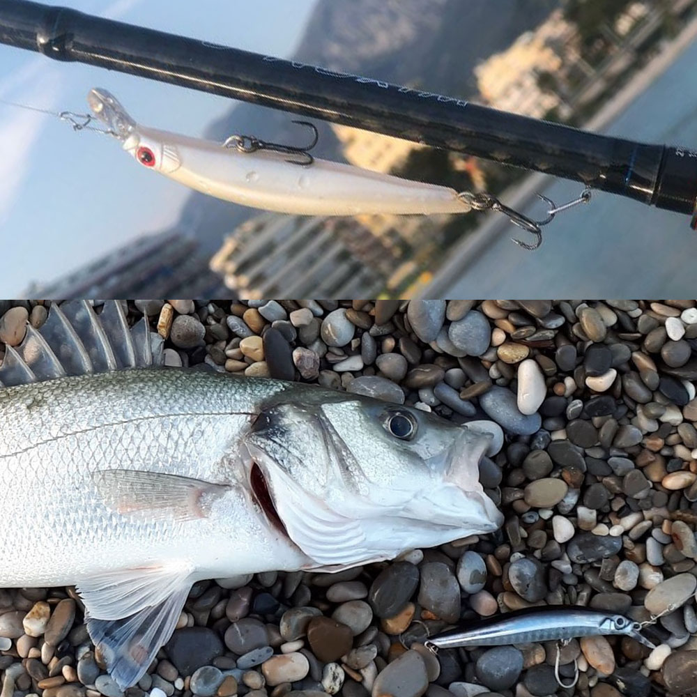 Hunthouse Fishing Lure Artist  - Fishing Equipment Daiwa recensione e prezzo